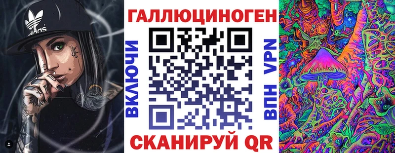 Псилоцибиновые грибы Psilocybe Гдов